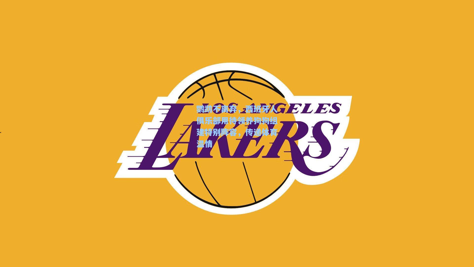 鹦鹉不离弃,西班牙人俱乐部用待领养狗狗组建特别阵容,传递体育温情