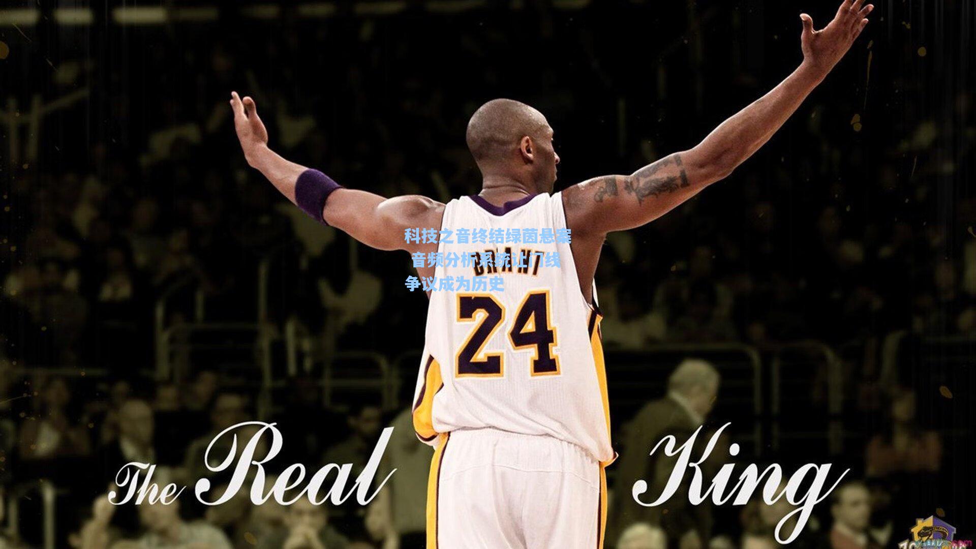 科技之音终结绿茵悬案 音频分析系统让门线争议成为历史